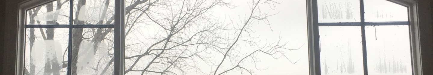 Gallery image with a fresh perspective